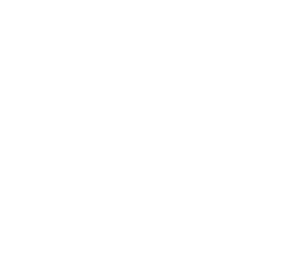 Big Team